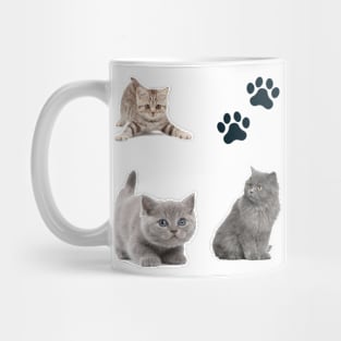 Awesome kitten cat love - cat lover pack Mug